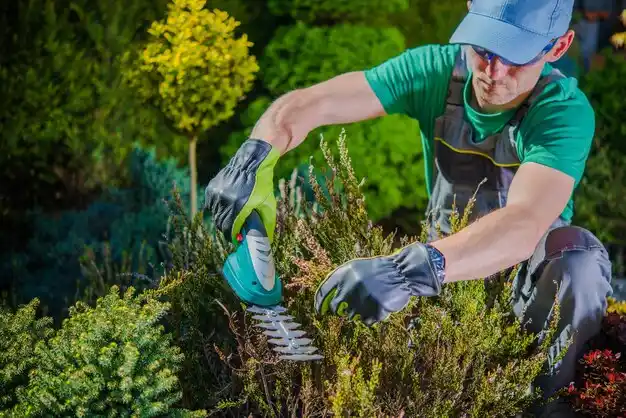 landscaping services Novi